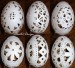 kraslice z husacích vajec 034